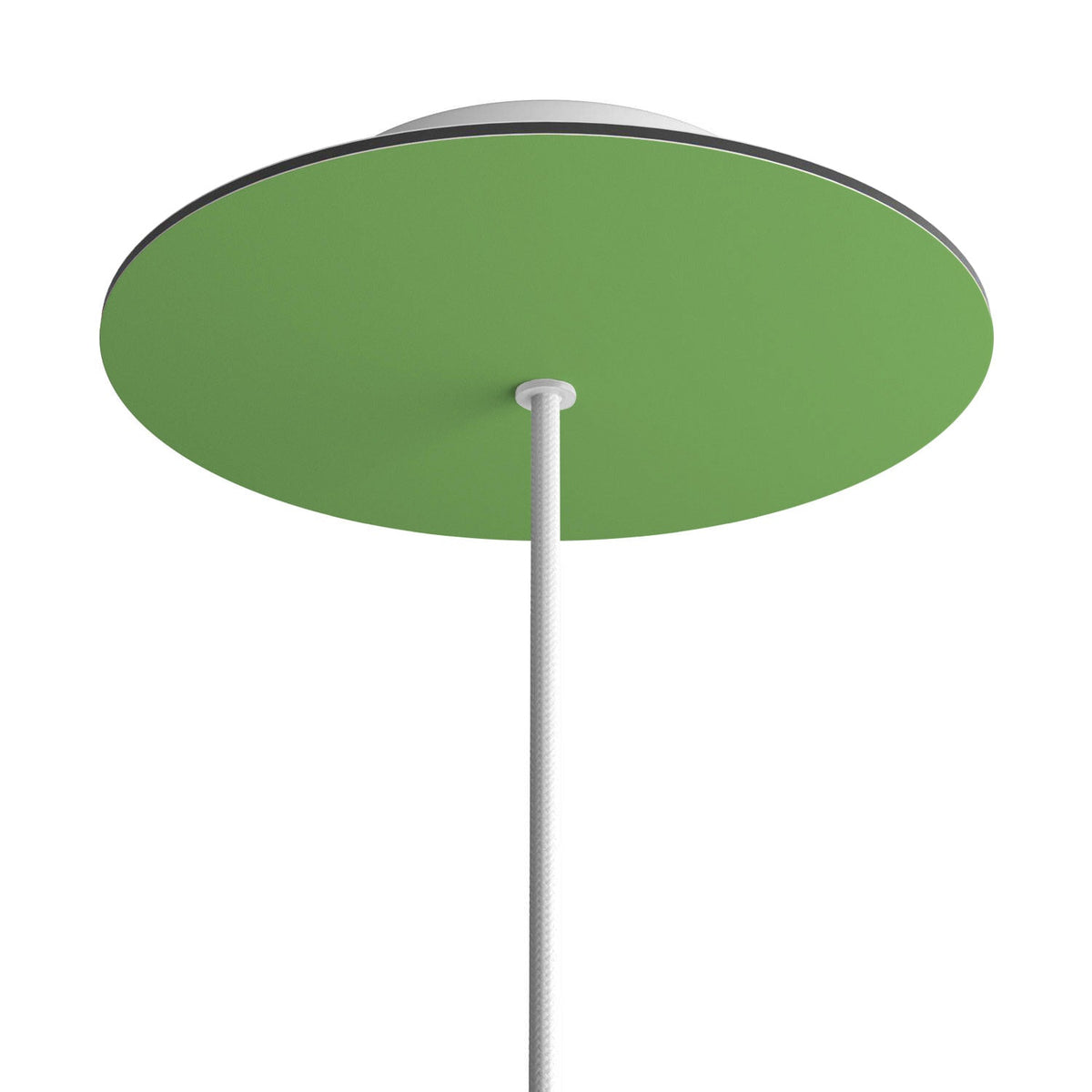 Rosone Rose-One rotondo, diametro 200 mm con 1 foro e 4 fori laterali - Verde prato Bianco